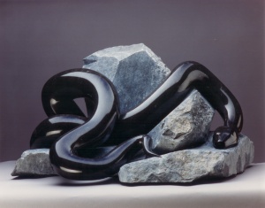 Black-Snake-31